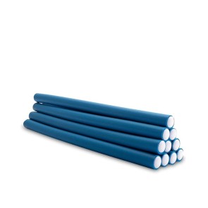 Bigoudis Rollers bleus x 10 (14mm x 24cm)